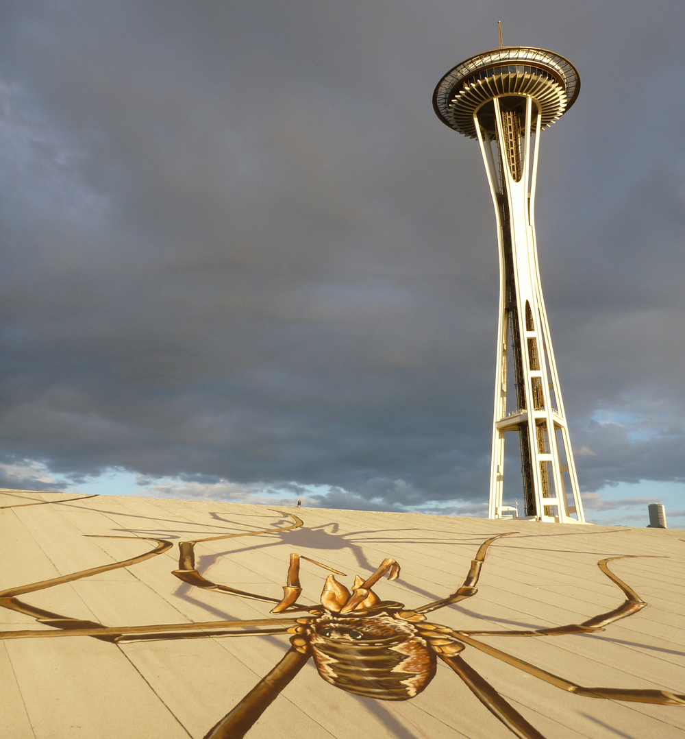 Arachnids Overshadow Seattle